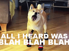 dog saying blah blah