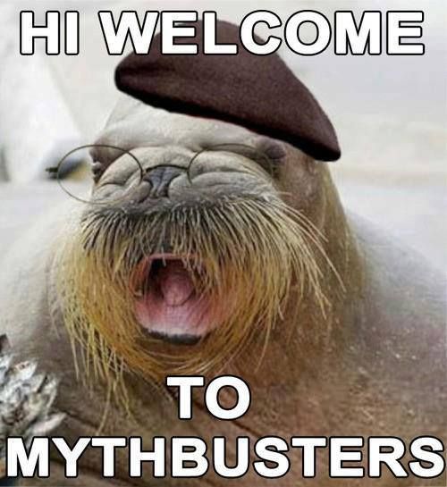 mythbusters