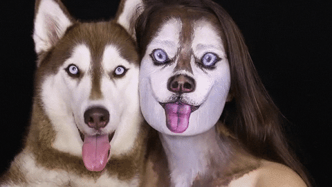 Gif of man who did his makeup just like his Huskie dog next to him.